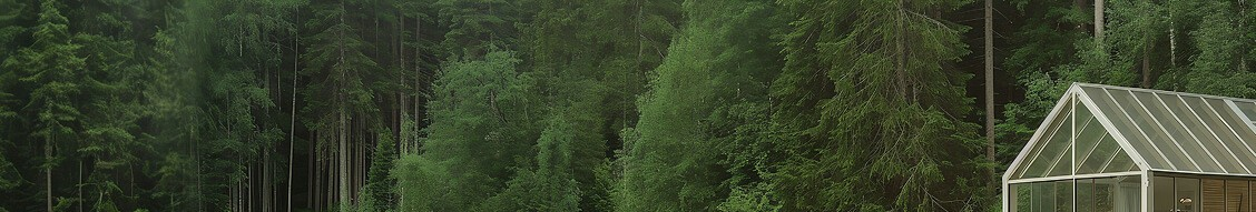 Canadian forest with greenhouse